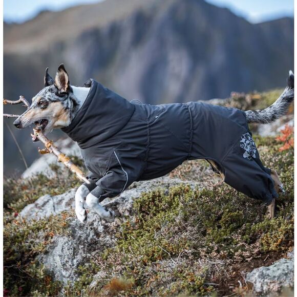 Hurrta Expedition 2 Dog snow Suit - Picture 1 of 7